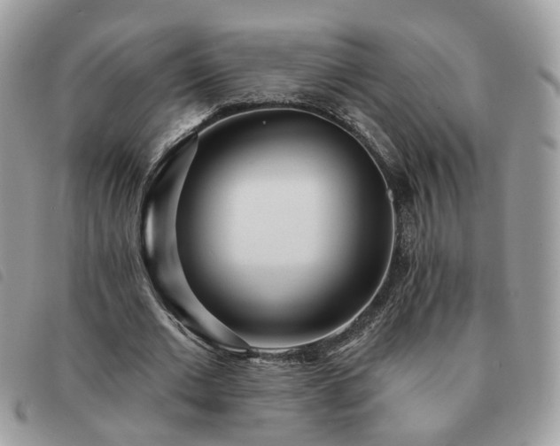 X0000091310677200708171416