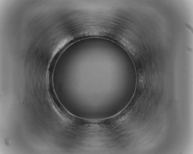 X0000091310678200708171416