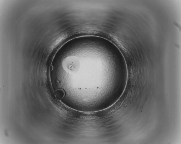 X0000091310679200708171416