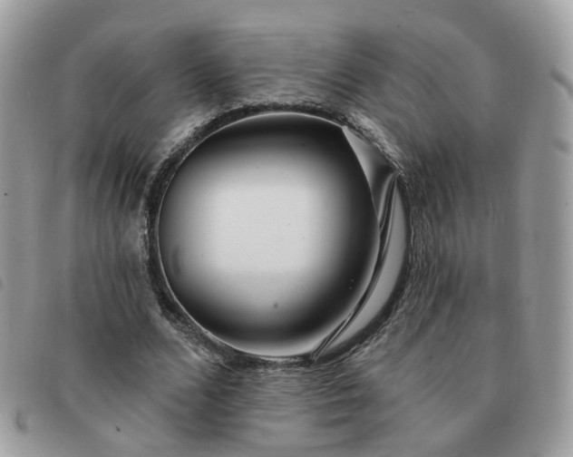 X0000091310680200708171416