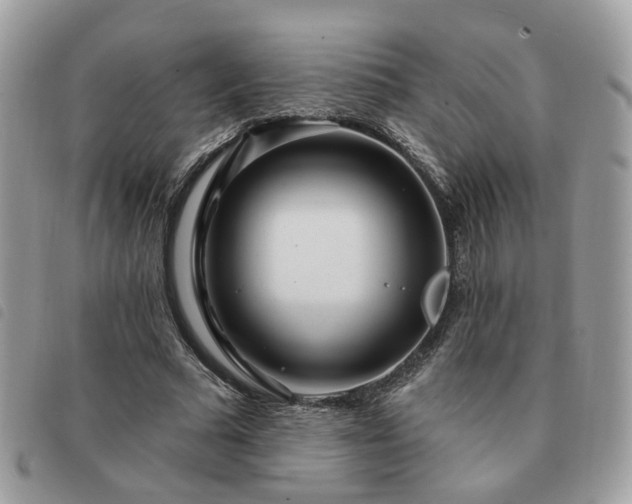 X0000091310681200708171416