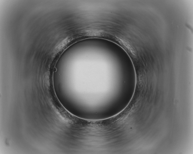 X0000091310682200708171416