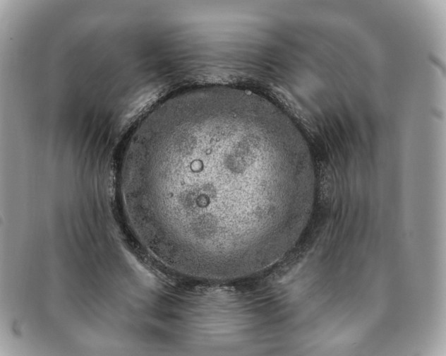 X0000091310683200708171416