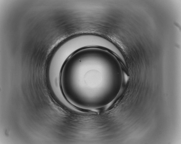 X0000091310684200708171416