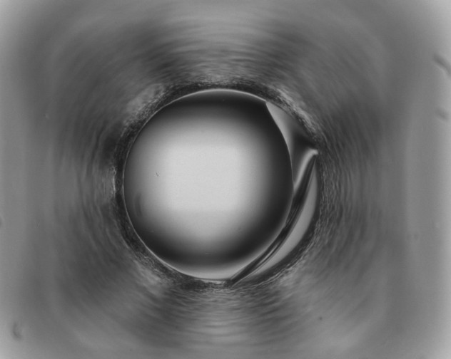 X0000091310685200708171416