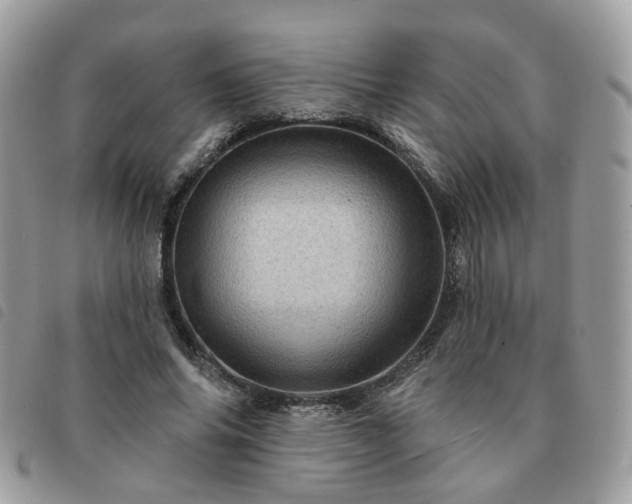 X0000091310686200708171416