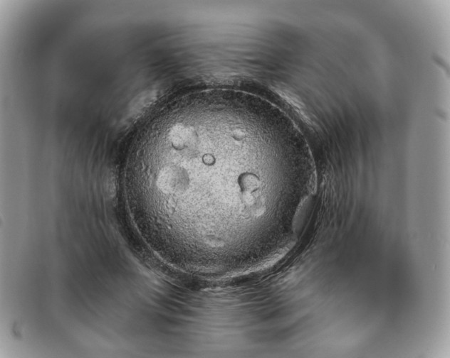 X0000091310687200708171416