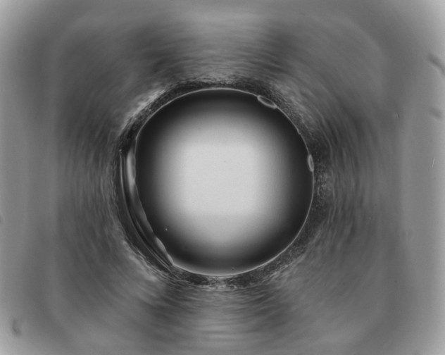 X0000091310688200708171416