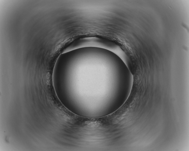 X0000091310689200708171416