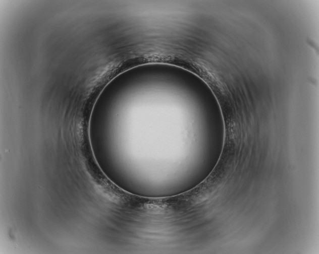 X0000091310690200708171416