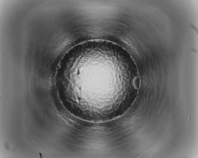 X0000091310691200708171416