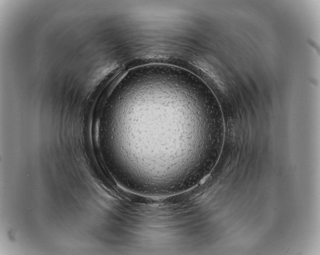 X0000091310692200708171416