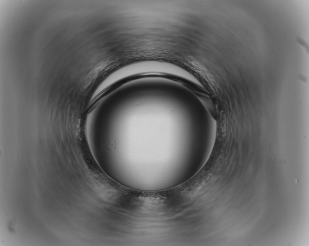 X0000091310693200708171416