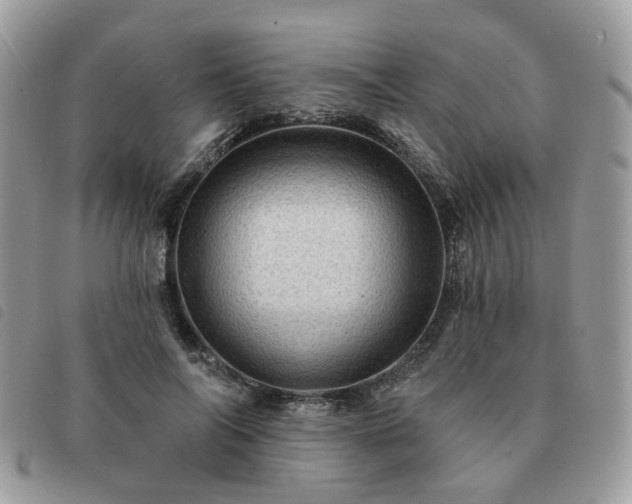 X0000091310694200708171416