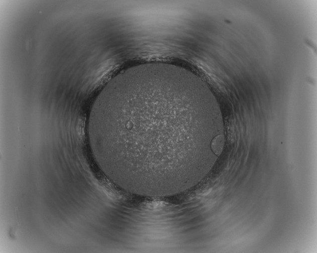 X0000091310695200708171416