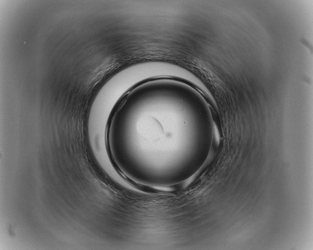 X0000091310696200708171416