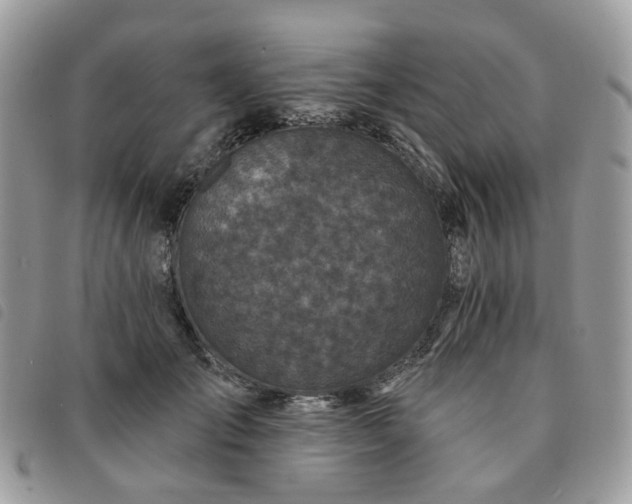 X0000091310701200708171416