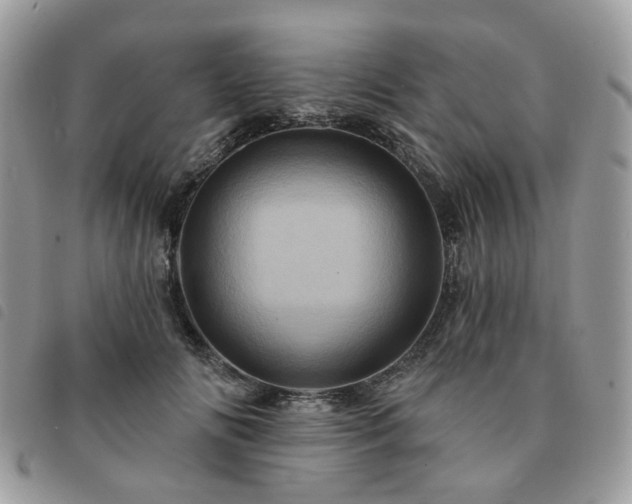 X0000091310702200708171416