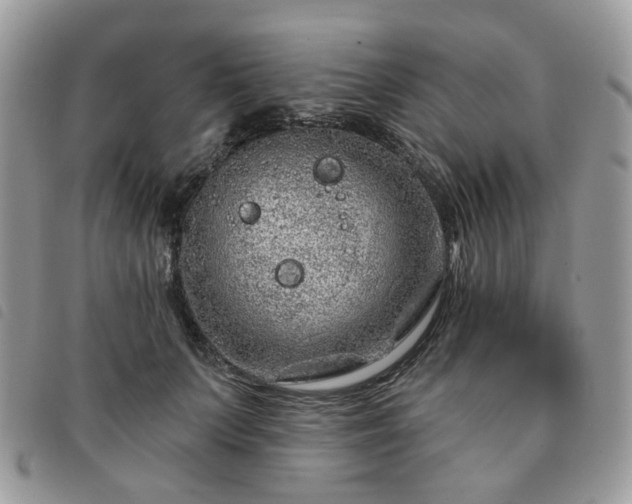 X0000091310703200708171416