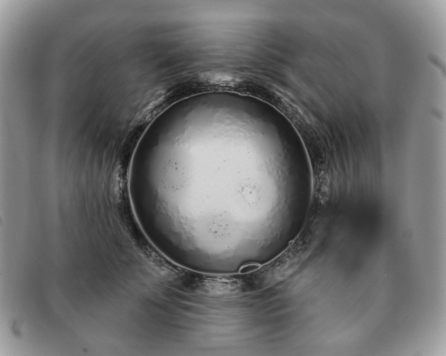 X0000091310707200708171416