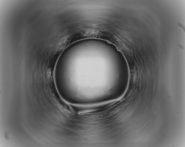 X0000091310711200708171416