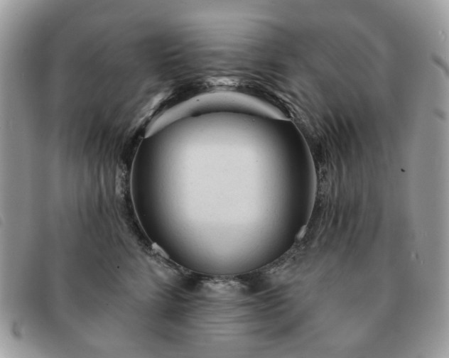 X0000091310712200708171416