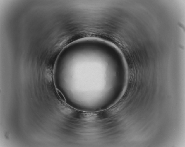 X0000091310719200708171415