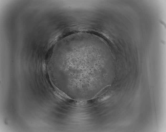 X0000091310720200708171415