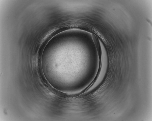 X0000091310722200708171415