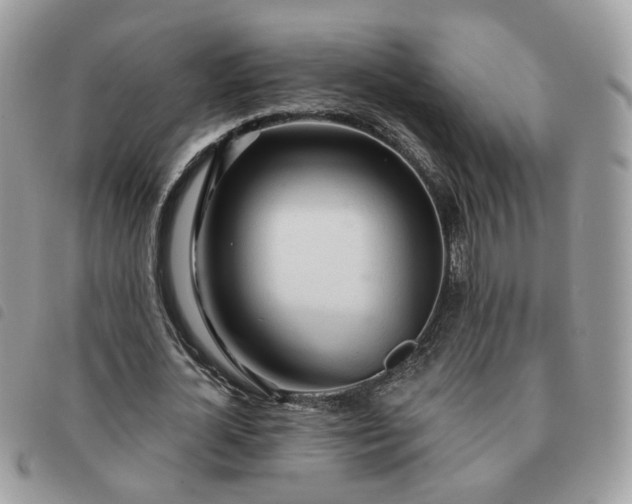 X0000091310724200708171415