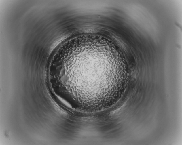 X0000091310725200708171415