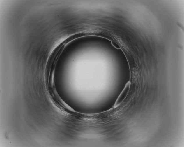 X0000091310726200708171415