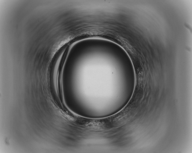 X0000091310727200708171415