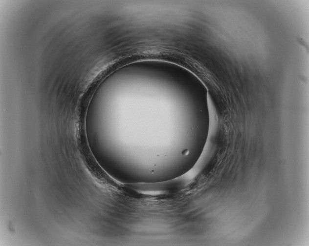 X0000091310728200708171415