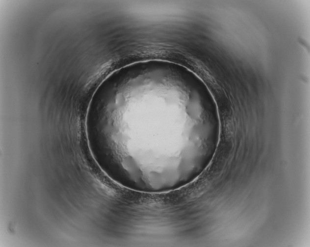 X0000091310729200708171415