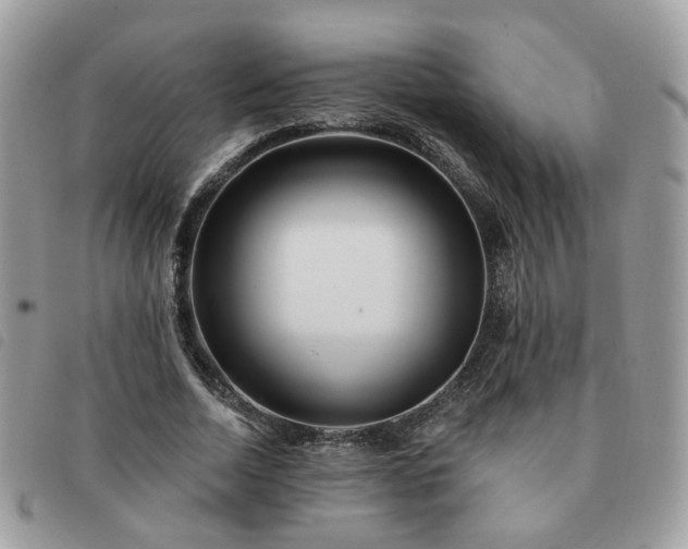 X0000091310730200708171415