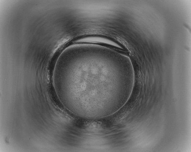 X0000091310731200708171415