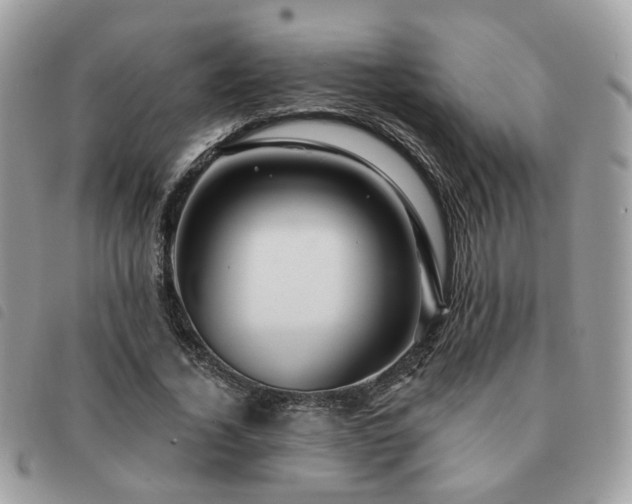 X0000091310732200708171415