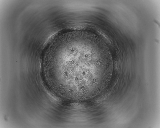 X0000091310733200708171415