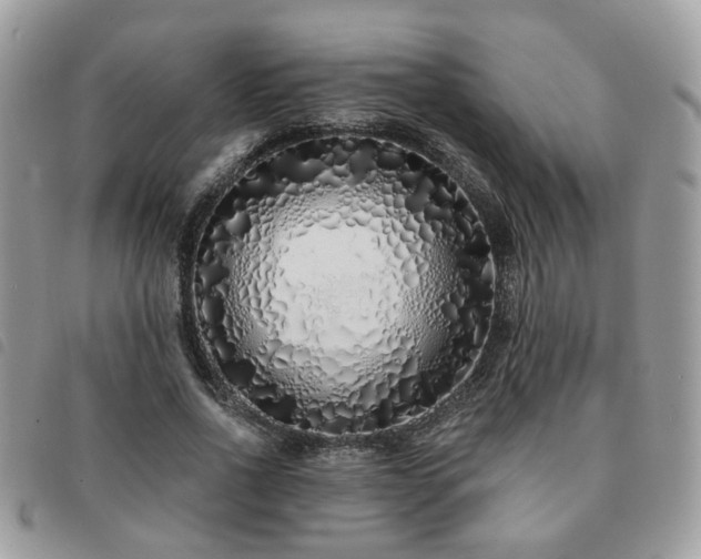 X0000091310734200708171415