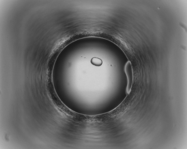 X0000091310736200708171415