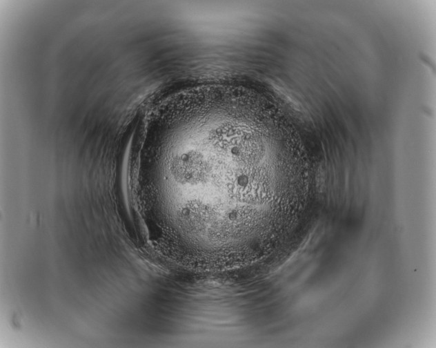 X0000091310737200708171415