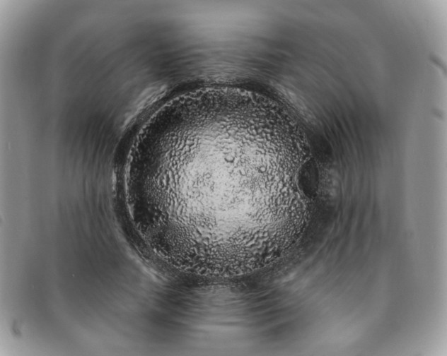 X0000091310738200708171415