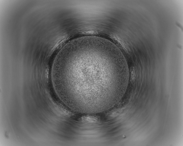 X0000091310739200708171415