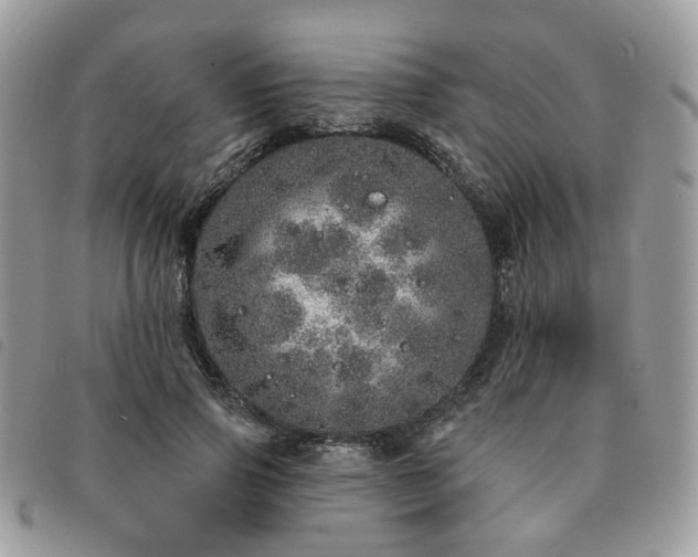 X0000091310741200708171415