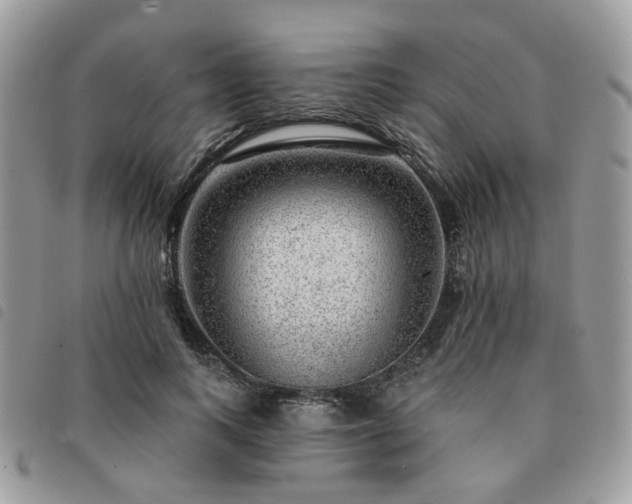 X0000091310743200708171415