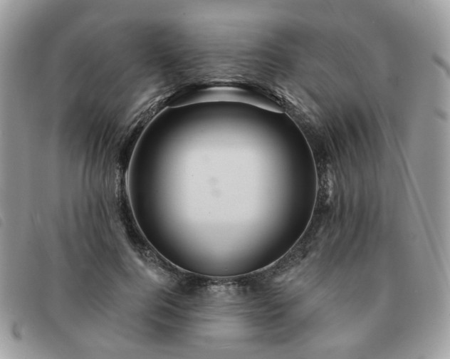 X0000091310744200708171415