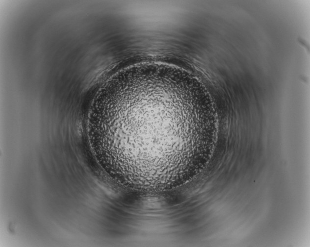 X0000091310746200708171415