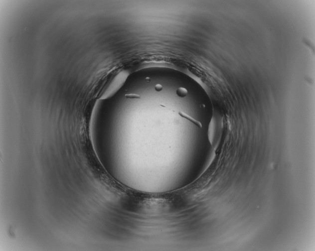 X0000091310748200708171415