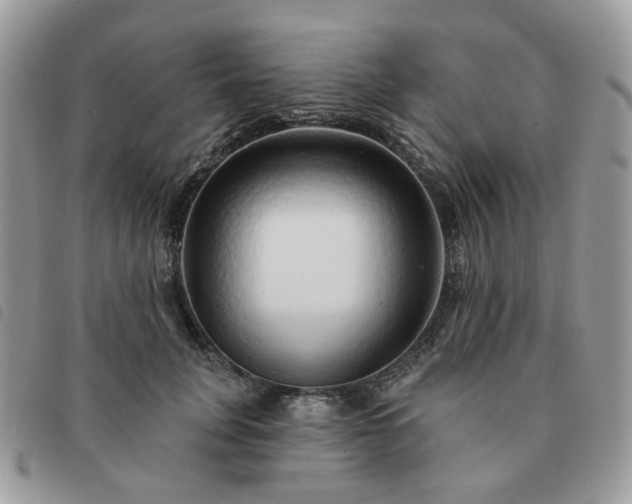 X0000091310751200708171415